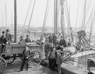 Unloading oyster luggers, Baltimore, Maryland